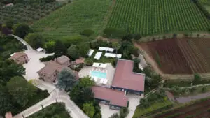 Azienda vitivinicola nelle colline laziali con cantina, vigneti, piscina, ristorante e appartamneti in un vecchio mulino