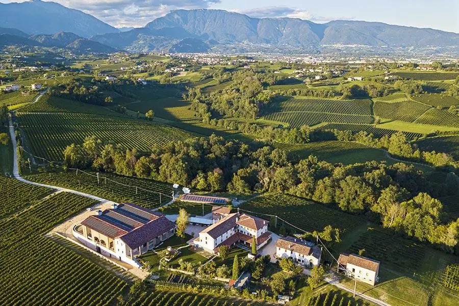 Colline vitate con una tenuta e la sua cantina viste dall'alto