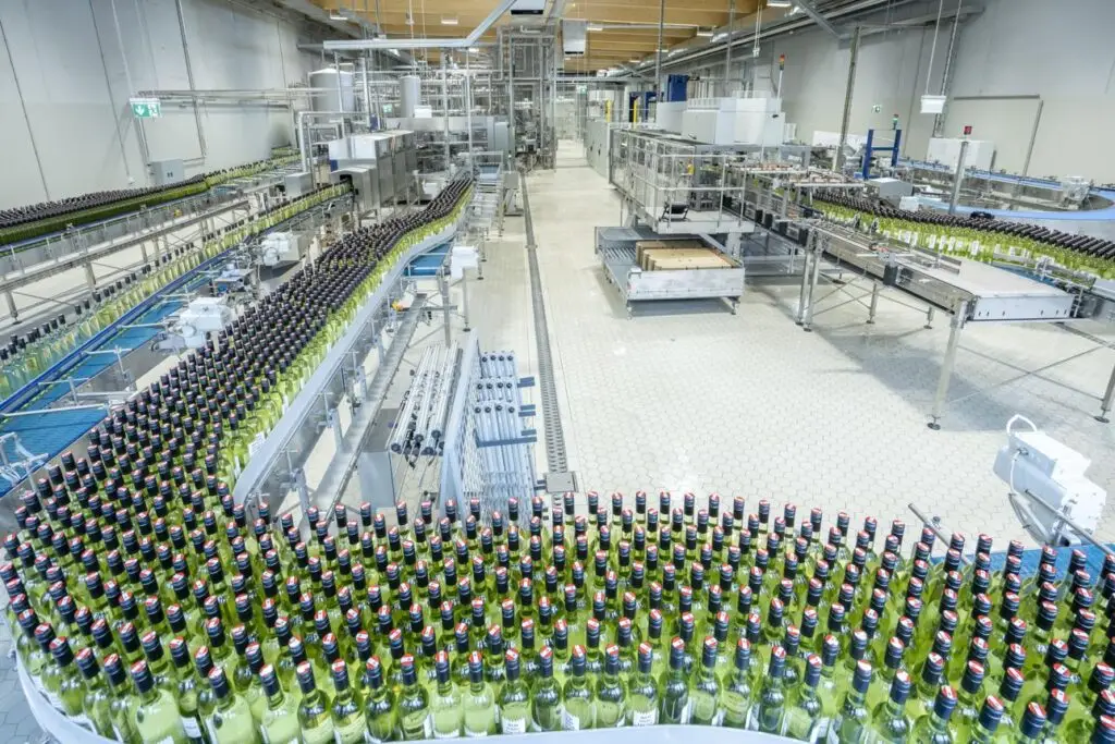 Linea di imbottigliamento di una cantina